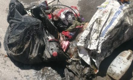 Continúa Simas Torreón con labores de limpieza