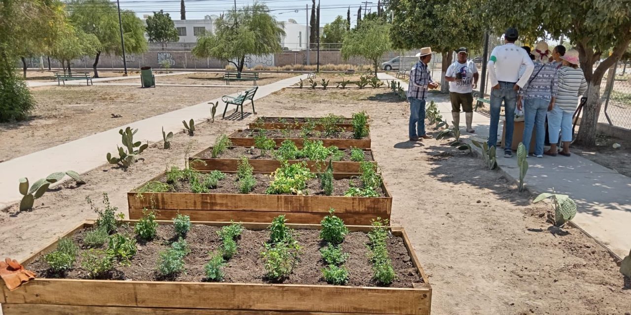 Instalan huerto comunitario en el parque ‘Las Arboledas’