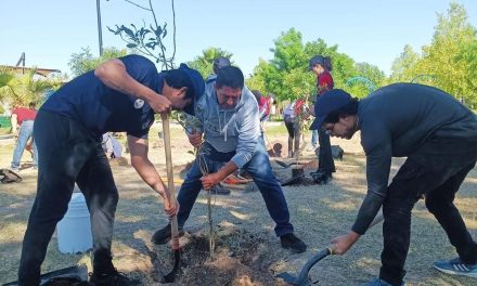 Celebrará Torreón el Día Internacional de la Tierra con jornada de reforestación
