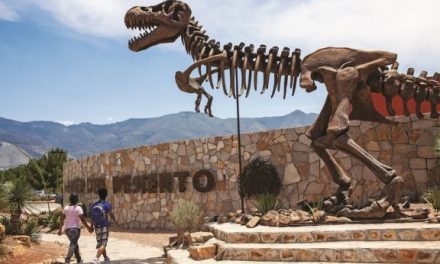 Entradas gratuitas al Museo del Desierto para todos los que visiten Dinolandia