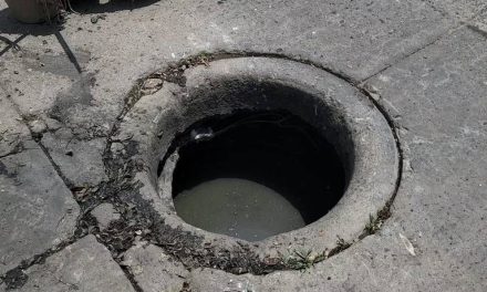 Saltillo: Reportan drenaje a cielo abierto sucio y contaminado