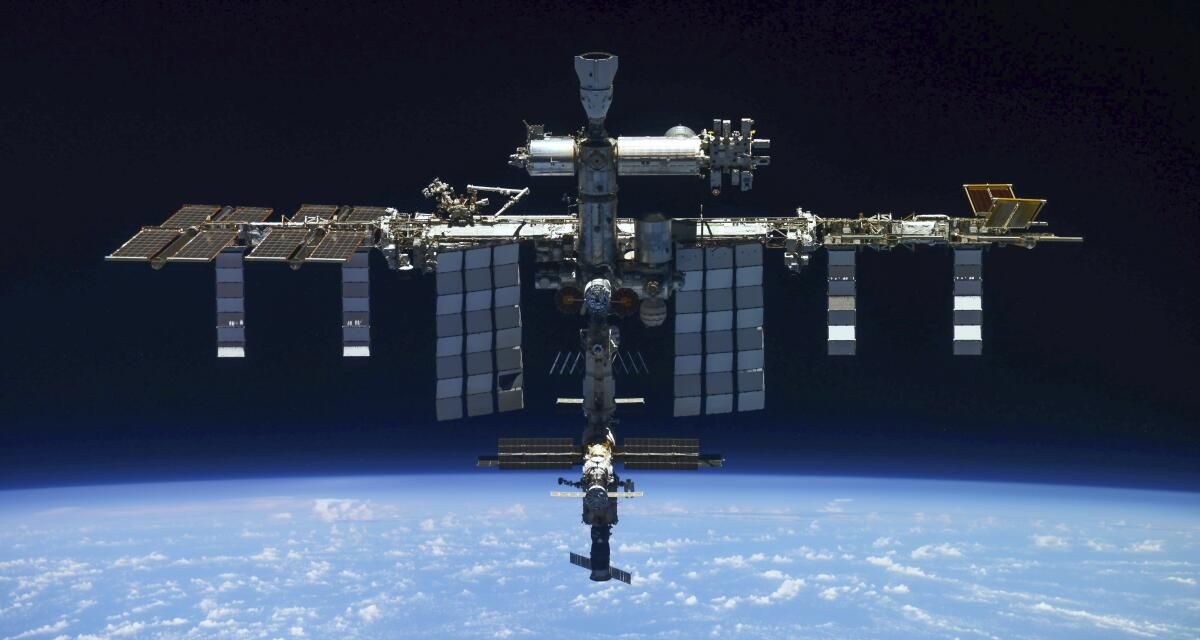 La NASA revela hallazgo de bacterias mutantes en el espacio
