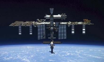 La NASA revela hallazgo de bacterias mutantes en el espacio