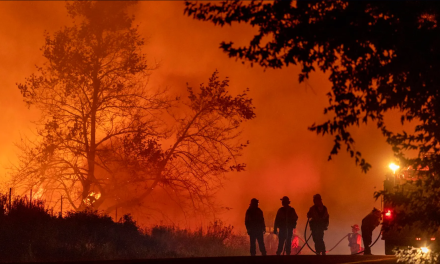 Canadá se prepara para un año ‘devastador’ por incendios forestales