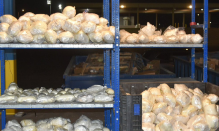 Disminuye un 30 por ciento la cantidad de fentanilo decomisado en la frontera