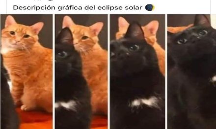Estos fueron los mejores memes que nos dejó el eclipse de sol