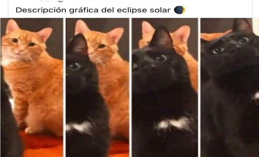 Estos fueron los mejores memes que nos dejó el eclipse de sol