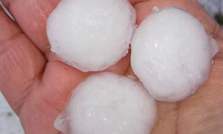 35 viviendas tuvieron afectaciones por granizada en el ejido Tanque del Cerro