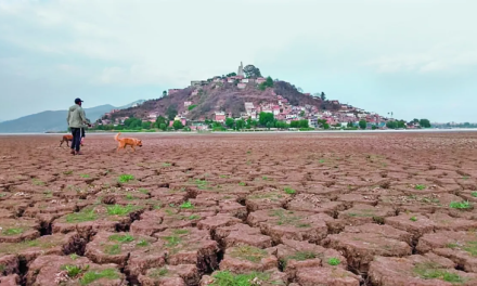 El Lago de Pátzcuaro en peligro: Sequía y extracción ilegal de agua amenazan al ícono cultural