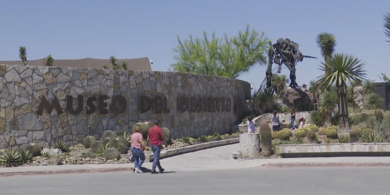 Más de 30 mil personas visitaron el MUDE