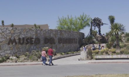 Más de 30 mil personas visitaron el MUDE