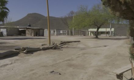 Muere el campo coahuilense ante el olvido de la 4T