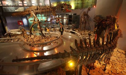 Coahuila celebrará el día internacional de los Museos