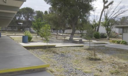 Tendrán campaña de reforestación en la UAdeC