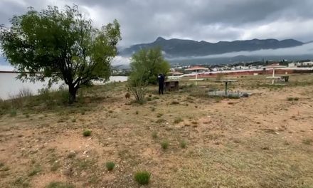 Un joven toma fatal decisión y lo encuentran en un árbol de Saltillo