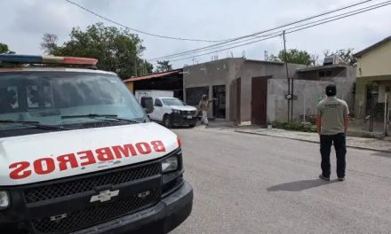 Abejas dejan a tres perros sin vida y dos personas heridas