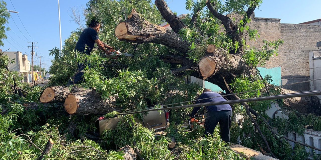 Gobierno del estado atiende a afectados por tormenta