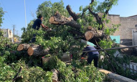 Gobierno del estado atiende a afectados por tormenta