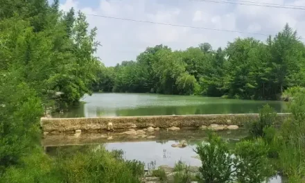 Aumenta nivel del río Álamo gracias a precipitaciones