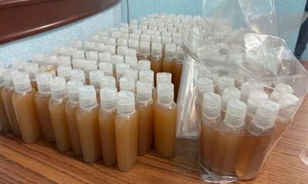 Implementan acciones contra brotes de piojos