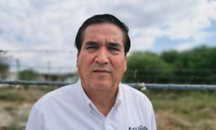 Se unen organizaciones ecológicas a campañas municipales