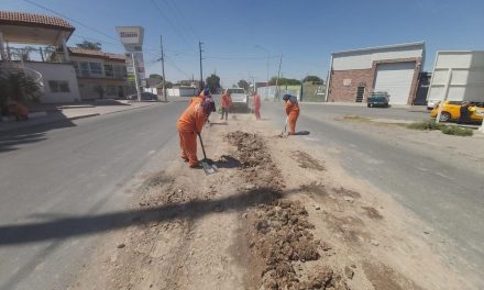 Solicitan a camioneros de Torreón a contribuir a la limpieza de calles