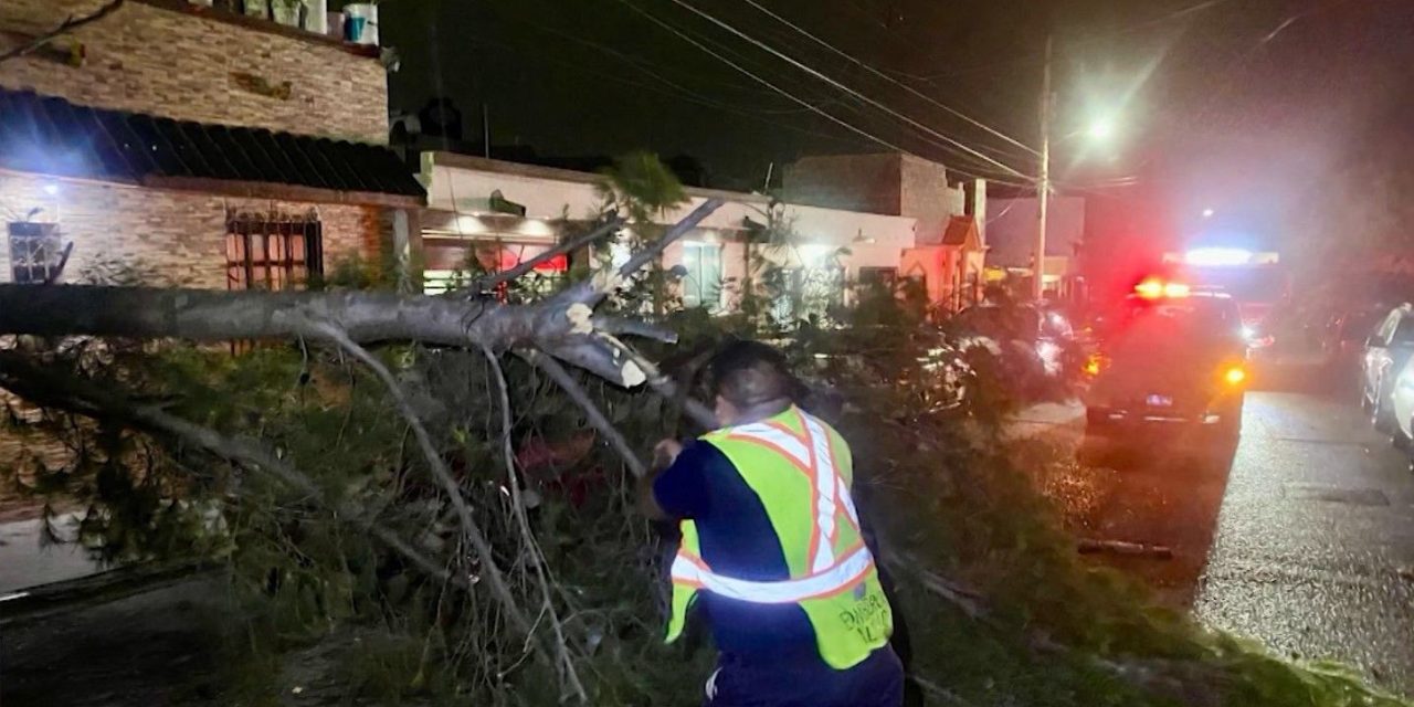 Árboles y cables caídos provocan fuertes vientos en Saltillo