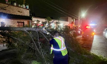 Árboles y cables caídos provocan fuertes vientos en Saltillo