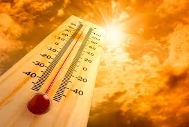 Registra México 48 muertes en apenas dos meses por la ola de calor