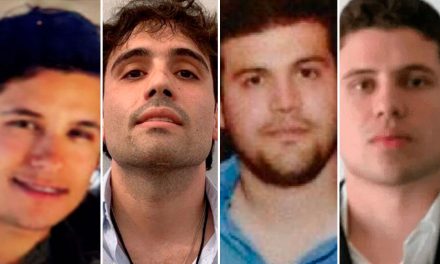 ‘Chapitos’ habrían usado migrantes y perros para experimentar con el fentanilo
