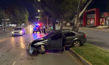 Por evitar atropellar a un perrito mujer choca contra árbol en Blvd Carranza