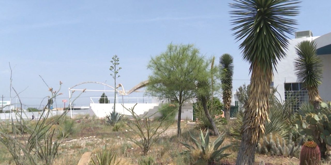 Cuidado con los golpes de calor en Coahuila