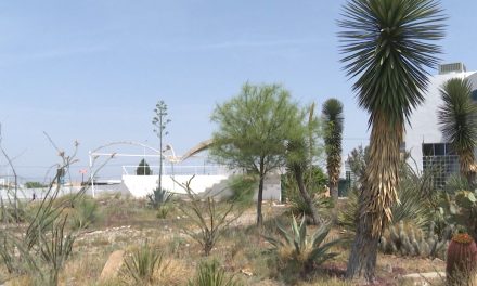 Cuidado con los golpes de calor en Coahuila