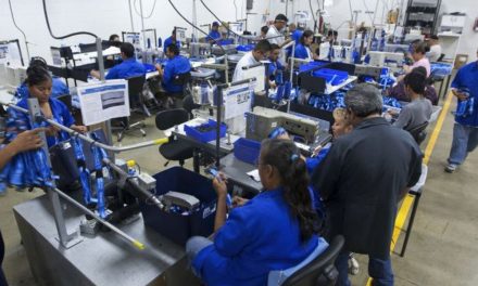 Cumplen empresas con el pago de utilidades