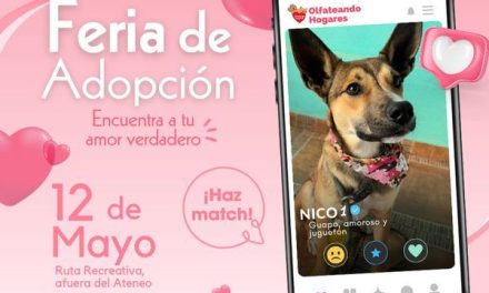 Saltillo: Invitan a feria de adopción de michis y perritos