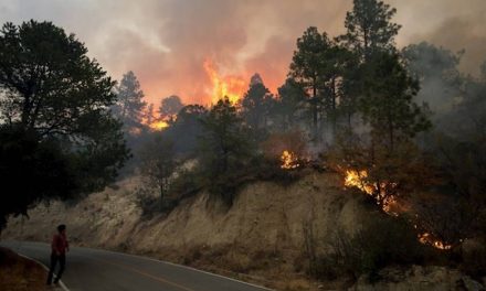 Brigadistas intensifican combate contra incendios forestales en Nuevo León