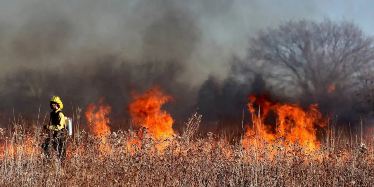 20 incendios forestales se han registrado en Coahuila