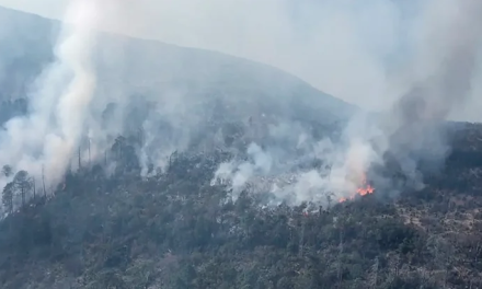 Crimen organizado impide combate a Incendios forestales en Guerrero y Michoacán