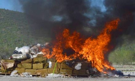 Incineran más de 800 kilogramos de narcóticos en Saltillo