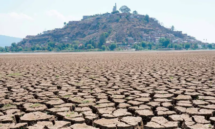 Desmantela la FGR red de huachicoleo de agua en el Lago de Pátzcuaro