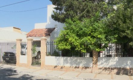 Plantar un árbol por domicilio reduce las temperaturas