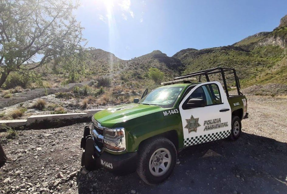 Policía Ambiental llama a denunciar maltrato animal