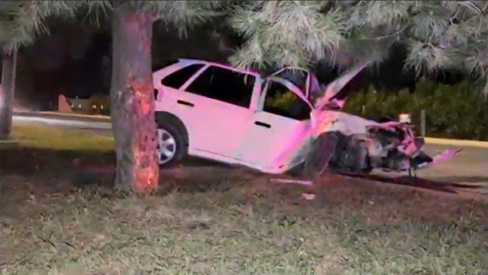 Hombre se ensarta contra un árbol al norte de Saltillo