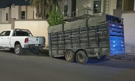 Se zafa remolque con caballos y se estrella con coches estacionados en Saltillo
