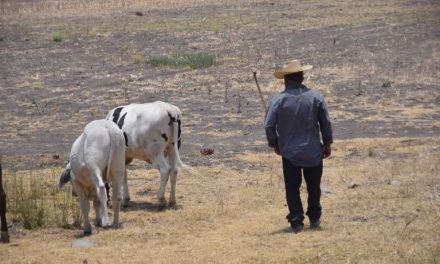 Rescatan a menor de alberca en Múzquiz