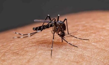 Incrementa riesgo de dengue tras tormenta tropical en Monclova