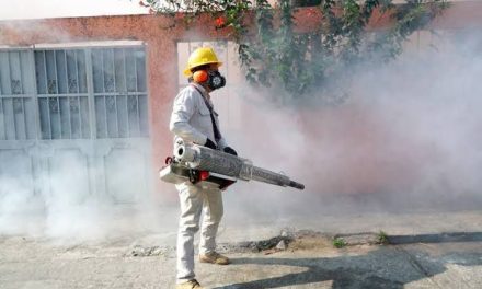 Dará inicio programa de fumigación en contra el dengue