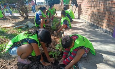 Continúa proceso de reforestación y educación en Torreón