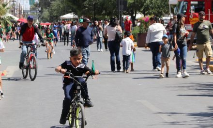 Donan árboles en Paseo Colón de Torreón