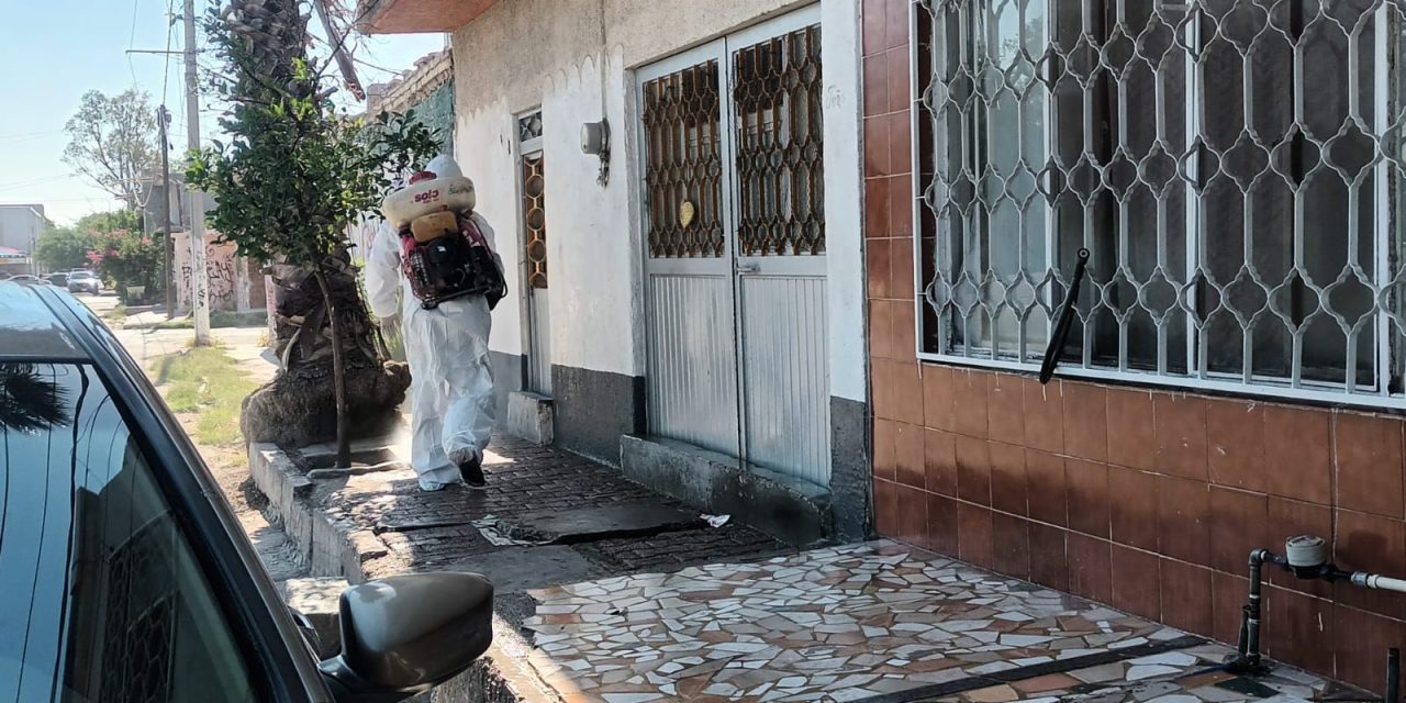 Fortalece Salud Municipal combate contra garrapatas